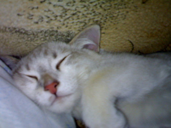 Александра Байбородина