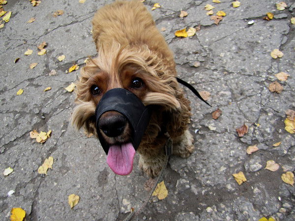 Ольга Камалова