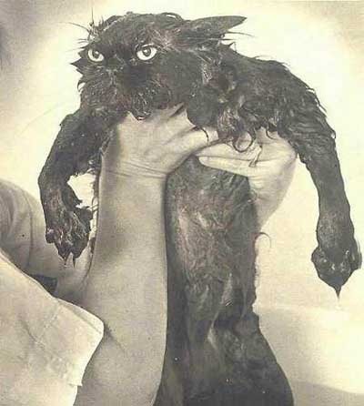 Владимир Китаев