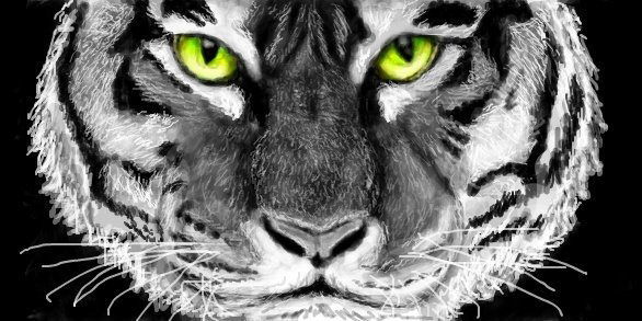 Дамир Дамир