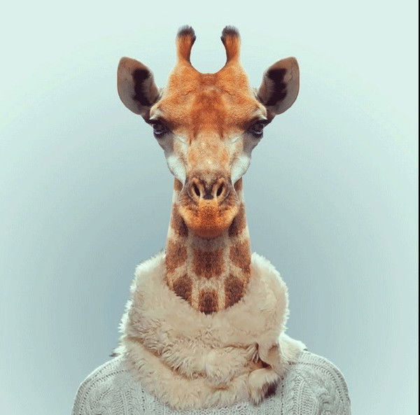 ™Kondratev_ Evgeny™