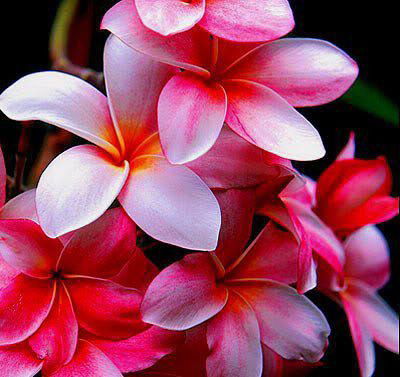 Любовь Сергеева