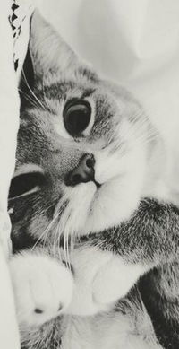 Софья Краснова