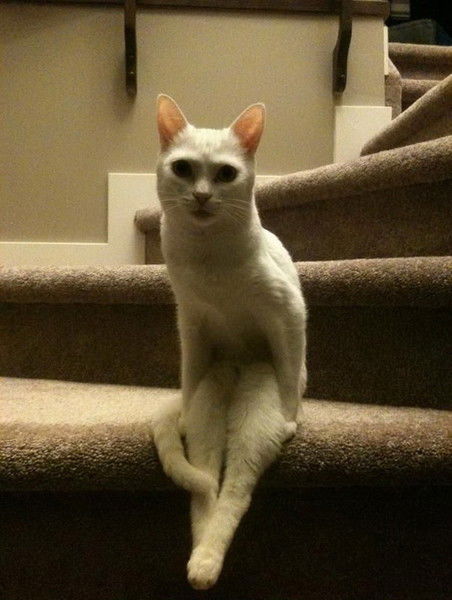 Олег Викторович