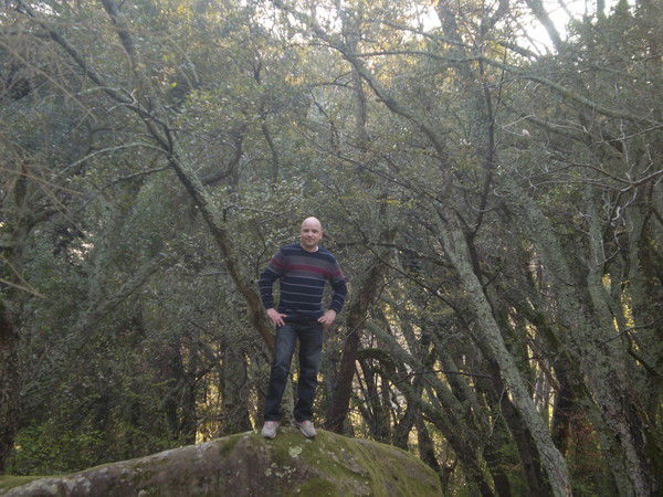 Неизвестно Неизвестно