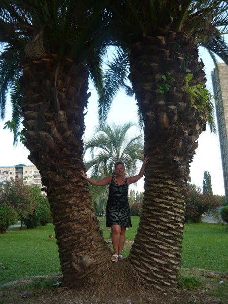 Светлана Михайлова