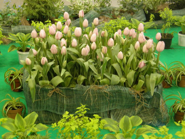 Екатерина Отрезова