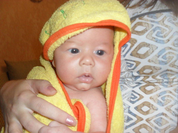 Дмитрий Буреев