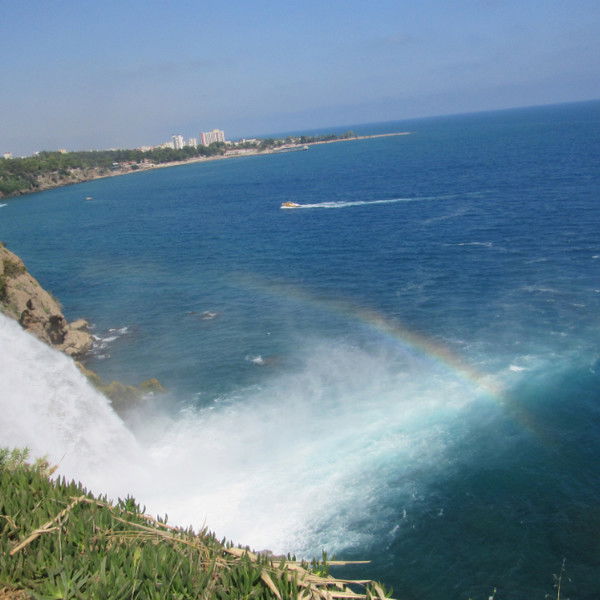 Дмитрий Сафонов