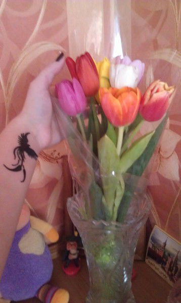 Анастасия Комарова