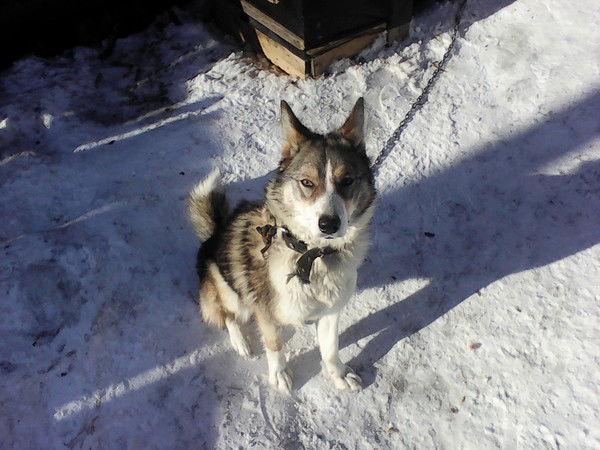 Виталик Пономарёв