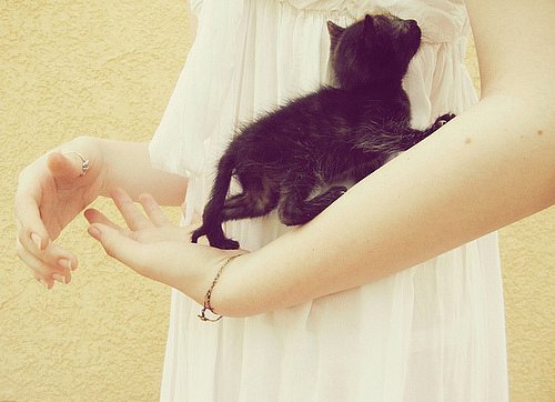 Ксения Дмитриева