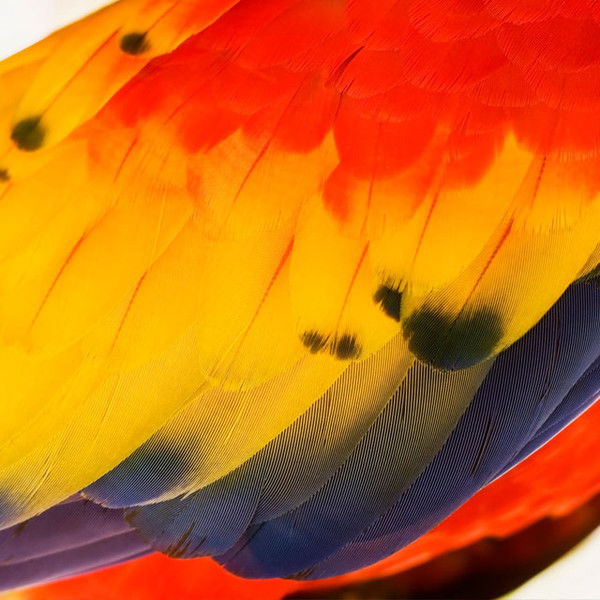 Ирина Гусельцова