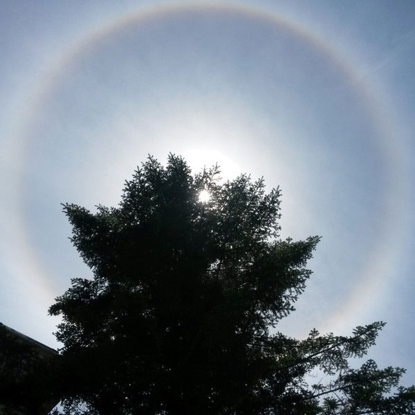 Ольга Каржиманова