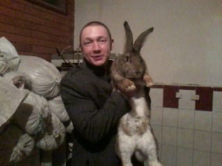 Саша Зобнин