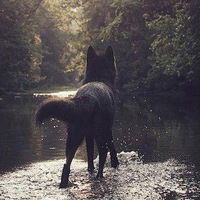 Ирина Фёдорова