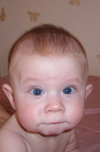 Максим Горбонос