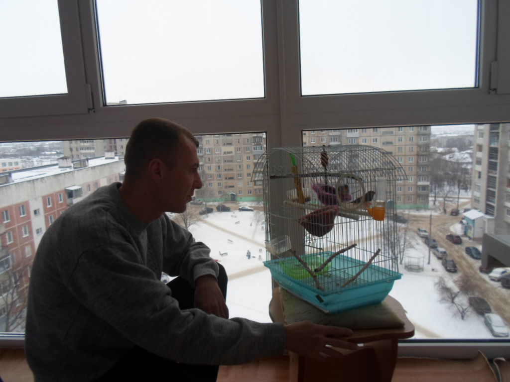 Андрей Михеев