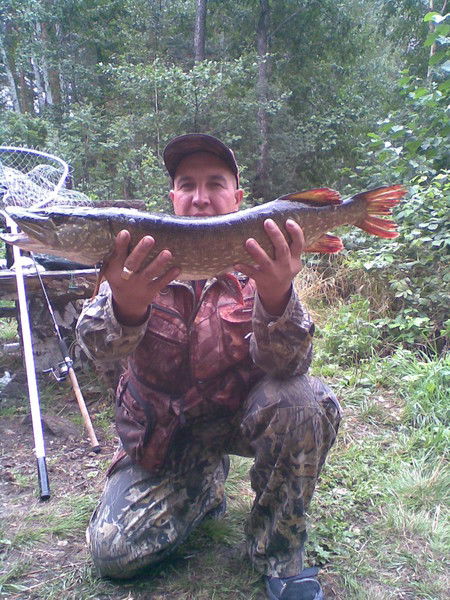 Константин Алиев