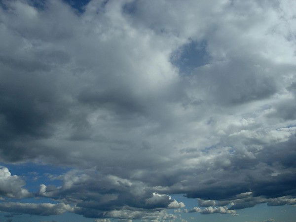 Николай Бойков