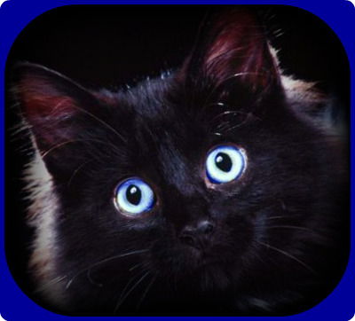 Ольга Гамаюнова