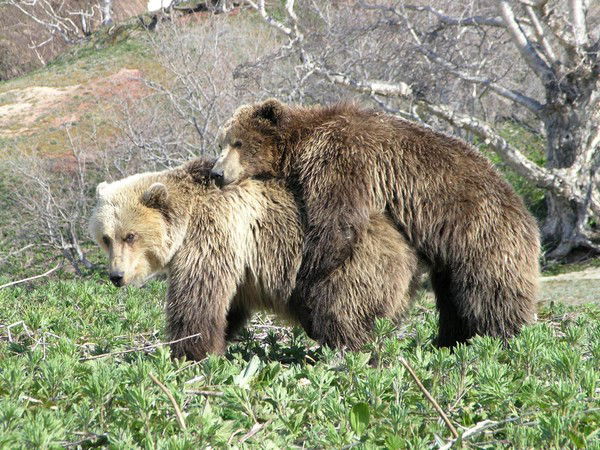 Мария Турилова
