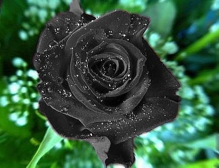 Лукьянова Ольга