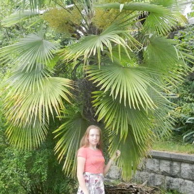 Саша Жукова