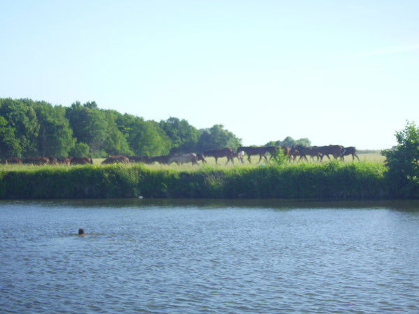 Альбина Сафина