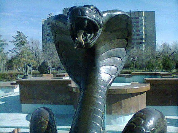 Таня Колмакова