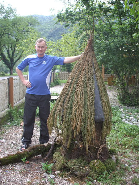 Василий Турок