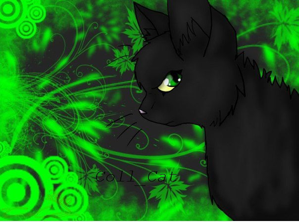 Яна Шевелёва