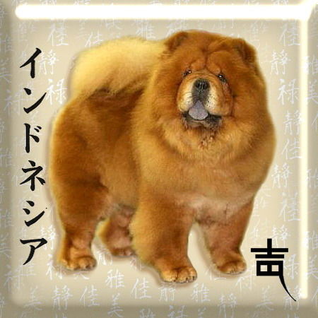 Ирина Лепёшкина