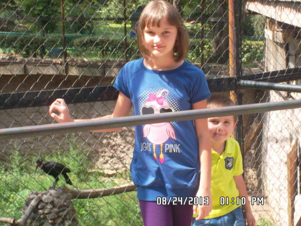 Виолетта Половец