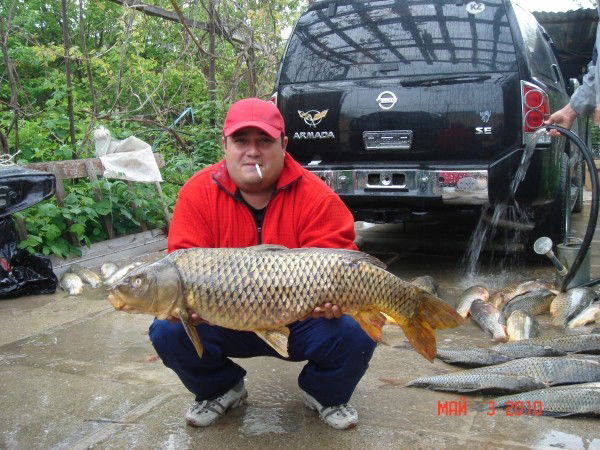 Эльдар Шамшиев