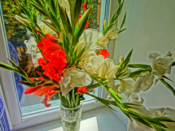 Елена Сухина