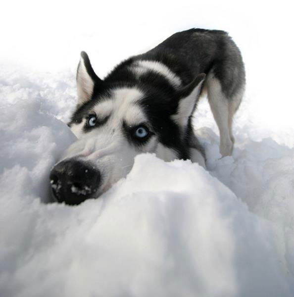 Алексей Кузьмин