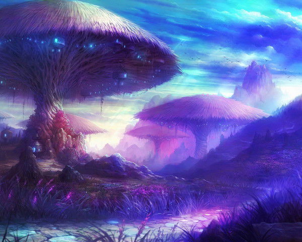 Владимир Никитин