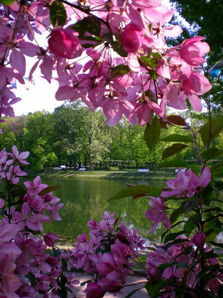 Людмила Шаронова