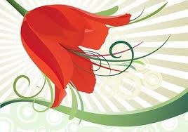 Настя Кобенок