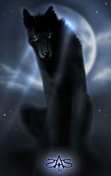 Ваня Никитенко