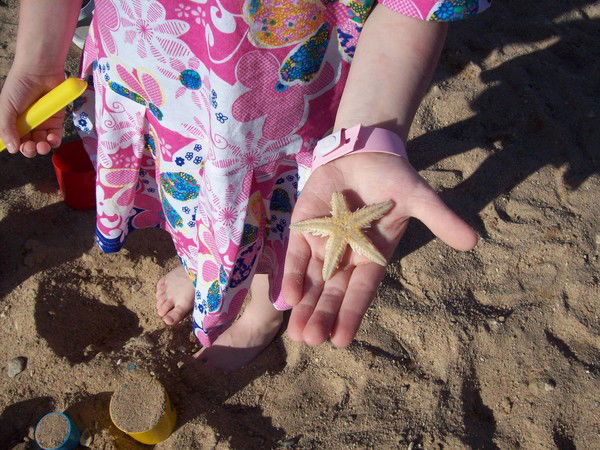 Елена Ишматова