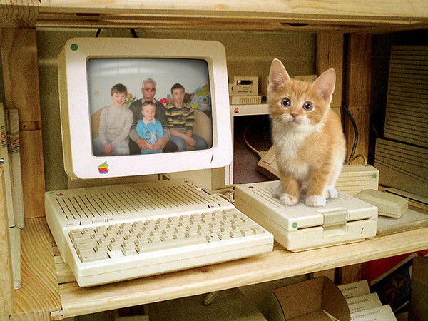 Вячеслав Куранов