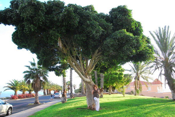 Марина Капишникова