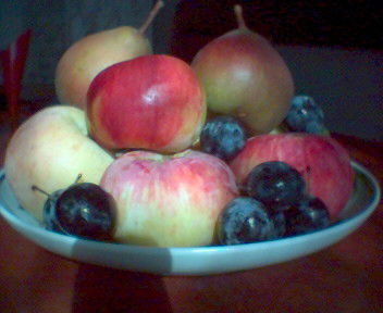 Ольга Стукановская