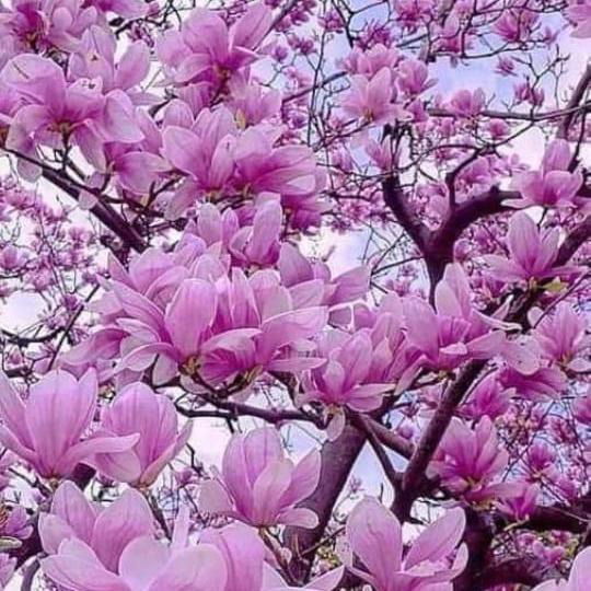 Бычкова Евгения