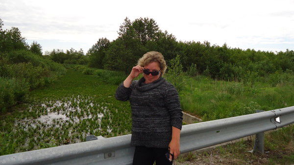 Алла Носкова