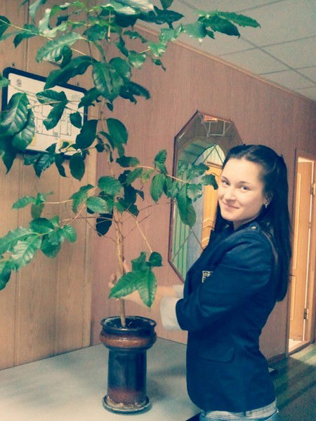 *((Дианчик *))