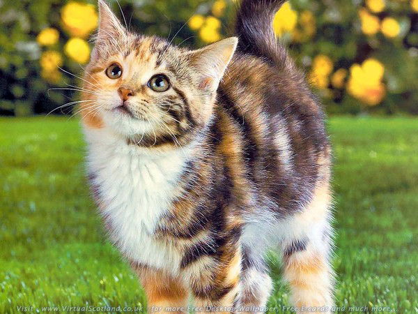 Даша Кудряшова