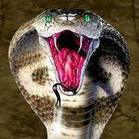 Умар Дакаев